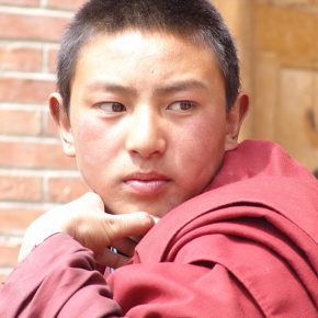 『ラサへの歩き方〜祈りの2400km』公開記念 チベット映画傑作選 『ラサへの歩き方〜祈りの2400km』公開記念 チベット映画傑作選